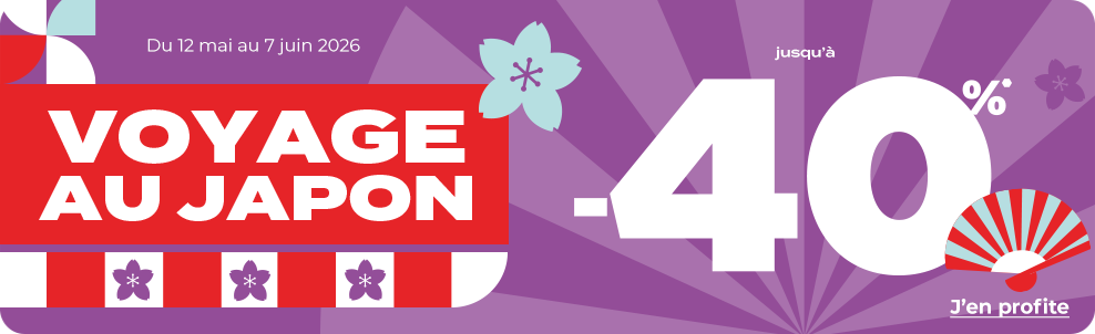 Promotions Canson - Daler Rowney - Princeton sur Rougier&Plé click and collect