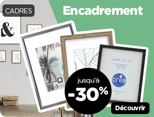 encart-S50_cadres.png
